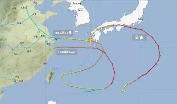 云雀台风最新动态，实时分析、应对策略及防范建议
