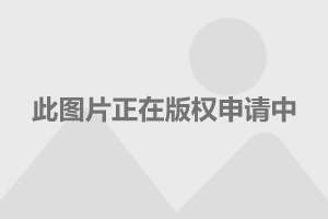 杨幂事业持续繁荣，多元发展展现新风采，最新新闻报道
