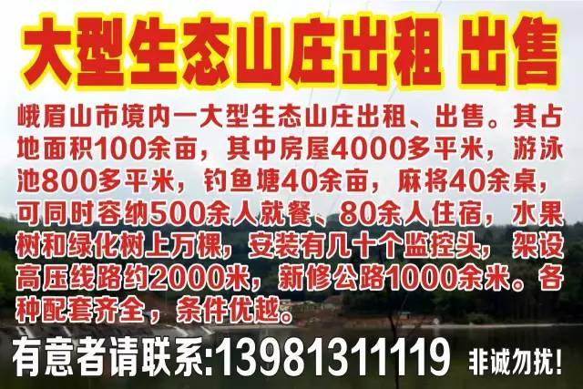 峨眉招聘网最新招聘动态，职业发展的黄金机会大集结