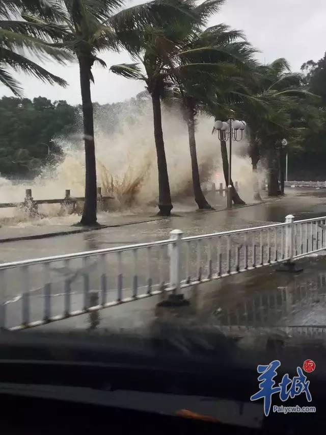 珠海台风最新动态分析，实时更新与应对策略