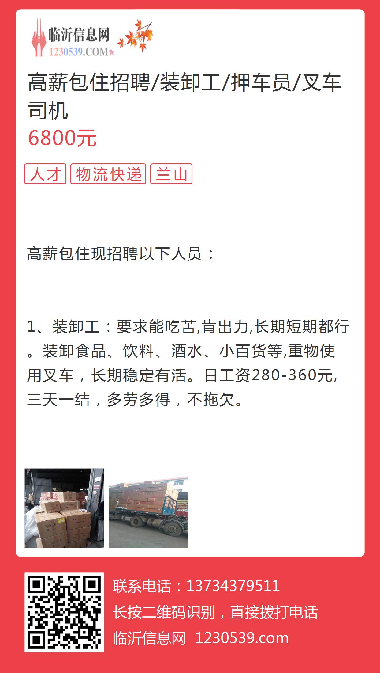 威海司机最新招聘信息与职业前景展望分析