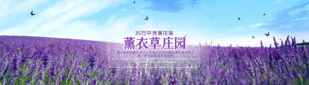 九州最新地址概览，历史、文化与发展的交汇之地