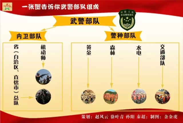 武警部队改革最新消息深度解读与分析