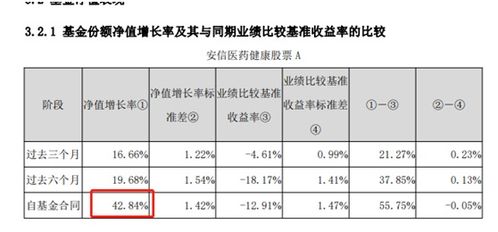 最新基金净值查询，洞悉投资动态与市场变化