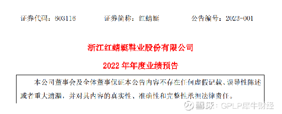红蜻蜓引领变革，塑造未来，最新消息揭秘
